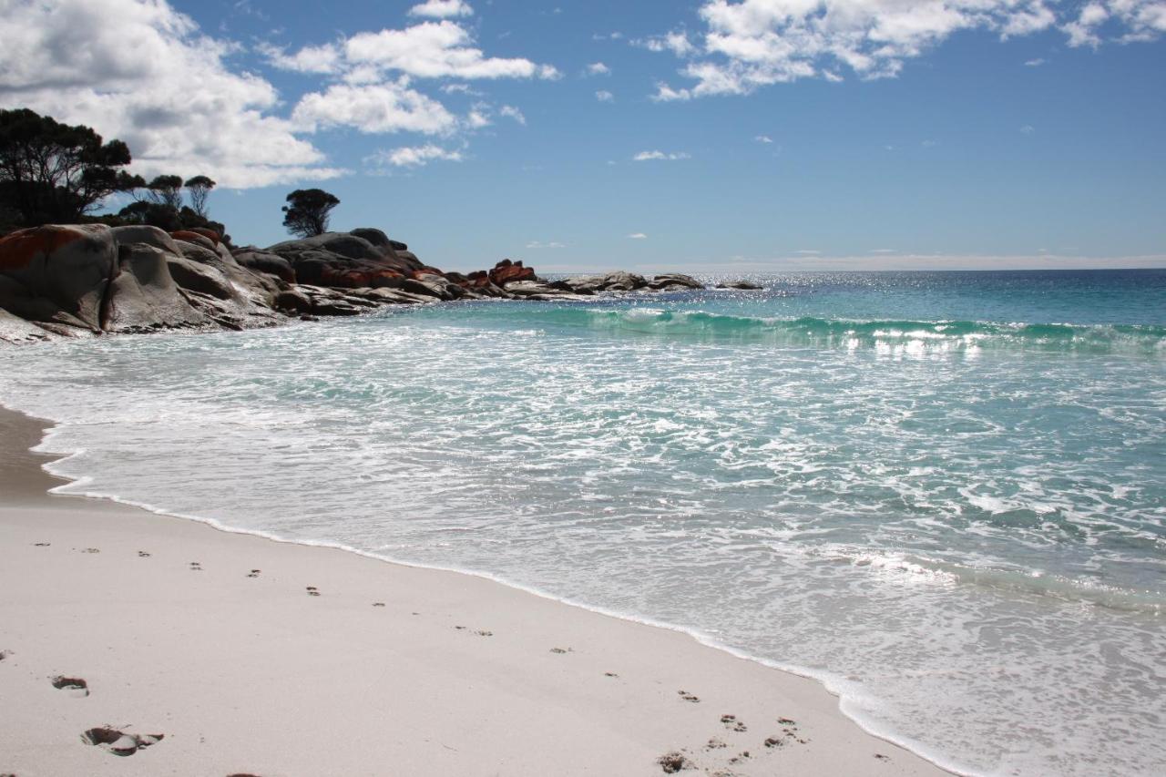 Sea Eagle Cottage Amazing Views Of Bay Of Fires Binalong Bay Exterior photo